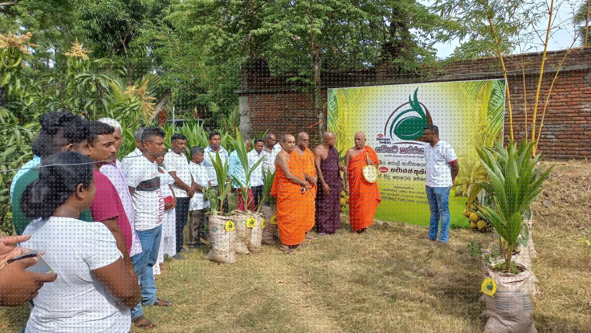 Hawaiian Kapruka - Image 2